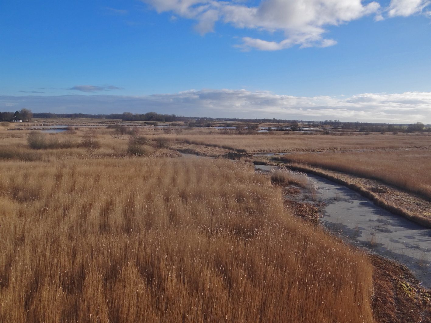 Uitkijktoren Earnesleat alde feanen