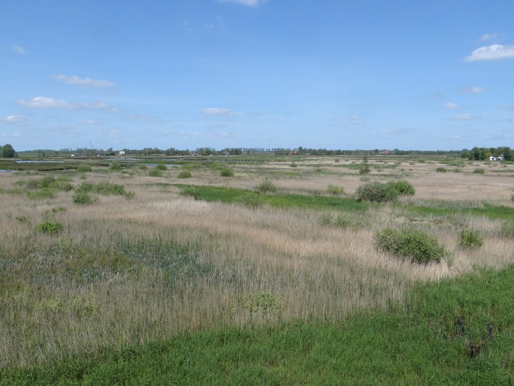 Uitkijktoren Earnesleat alde feanen