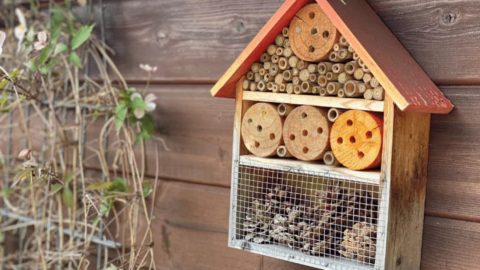 insectenhotel kids