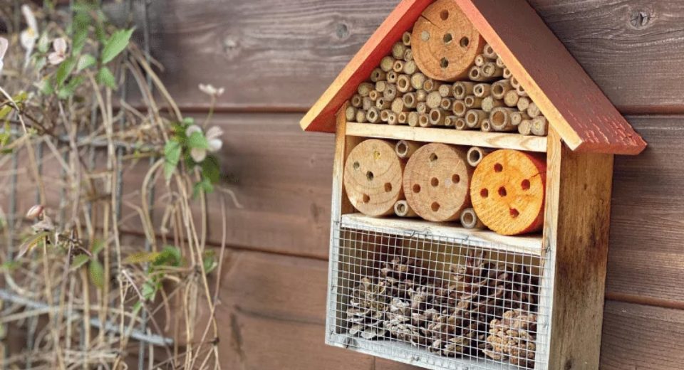 insectenhotel kids