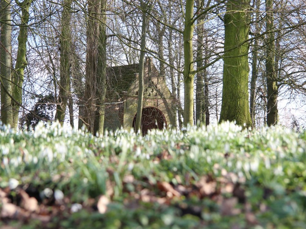 stinzenparken jongemastate