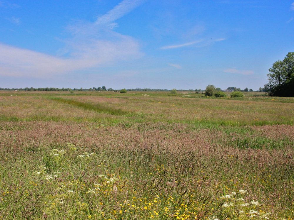 rengerspole alde feanen