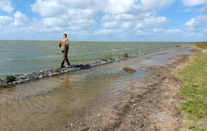 mokkebank friese ijsselmeerkust