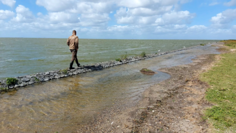 mokkebank friese ijsselmeerkust