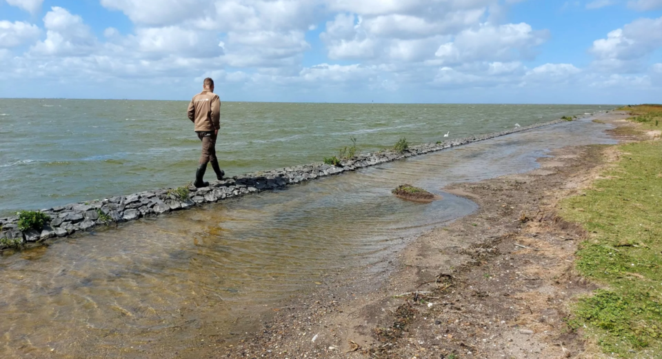mokkebank friese ijsselmeerkust