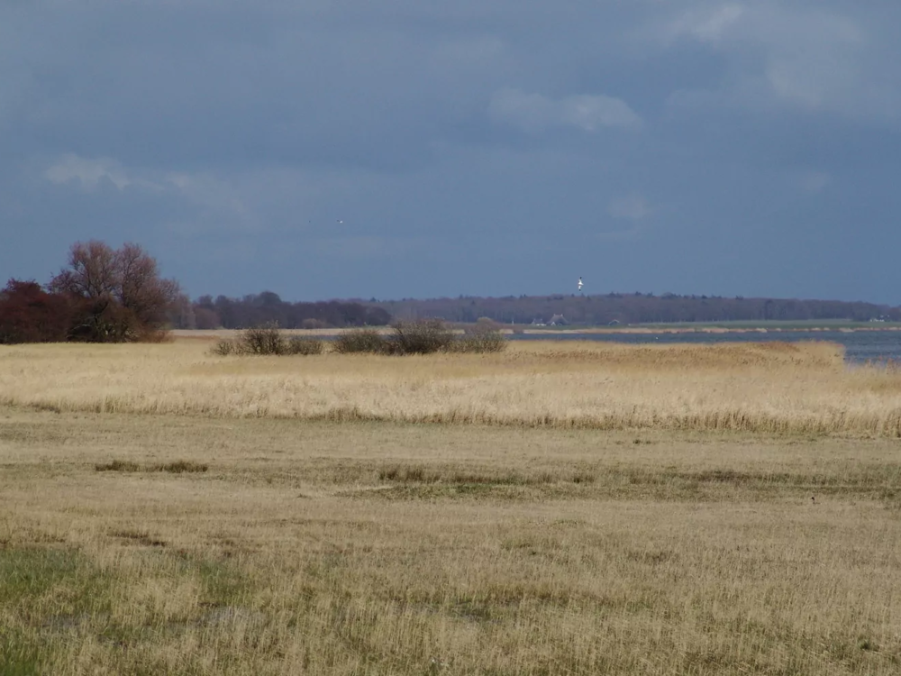 Friese IJsselmeerkust mokkebank