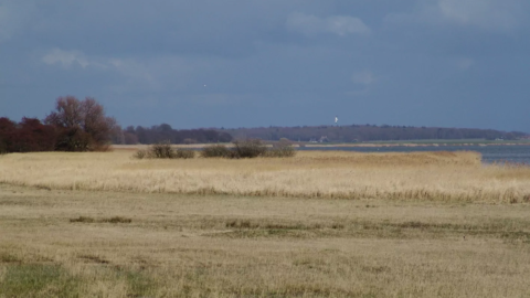 Friese IJsselmeerkust mokkebank