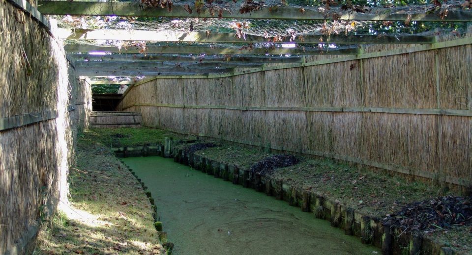 buismanskoai gytsjerk