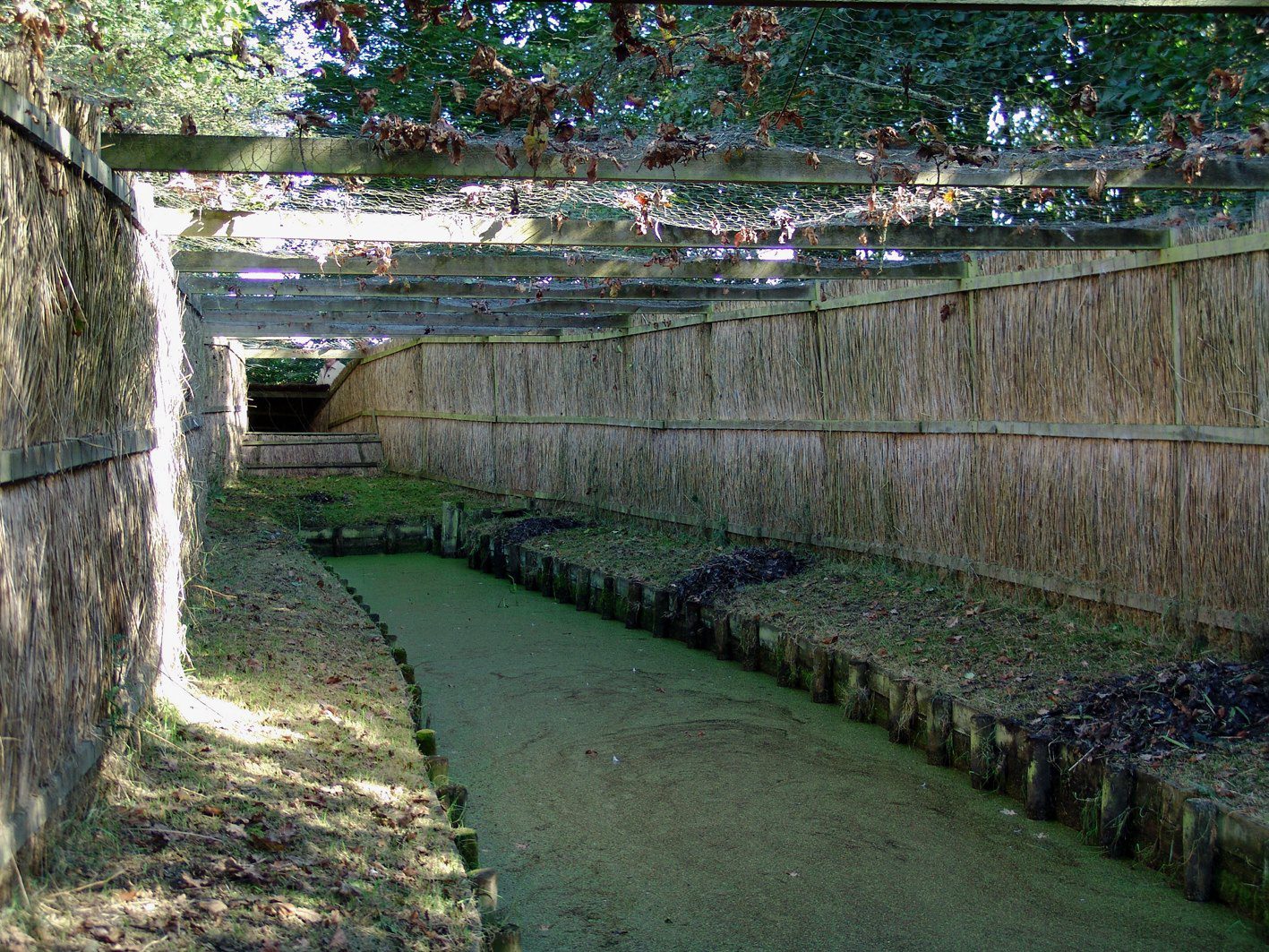 buismanskoai gytsjerk