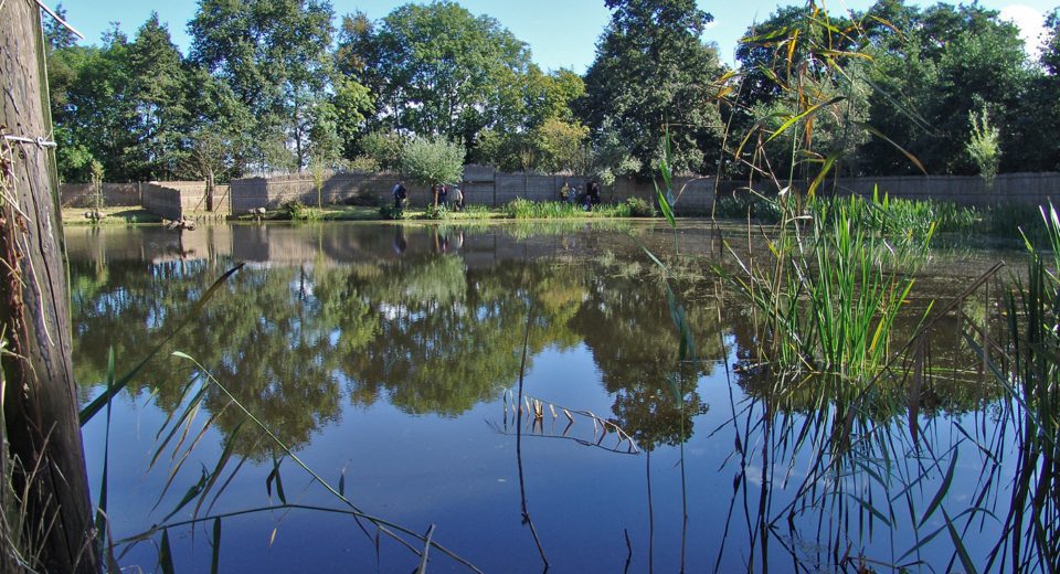 buismanskoai gytsjerk