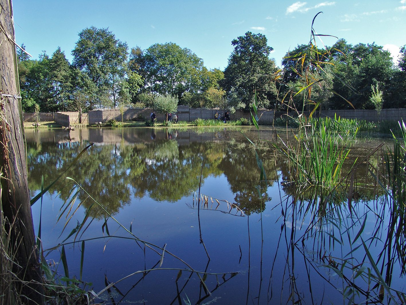 buismanskoai gytsjerk