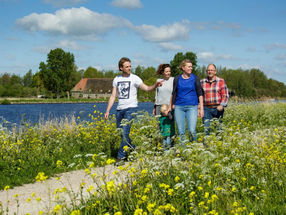 alde feanen