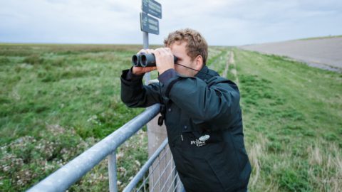 personeel it fryske gea