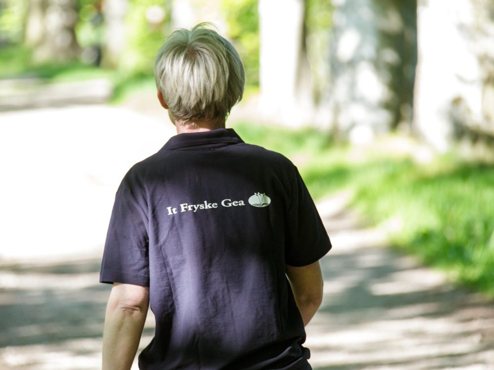 personeel it fryske gea