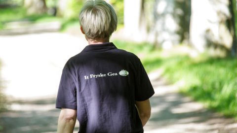 personeel it fryske gea