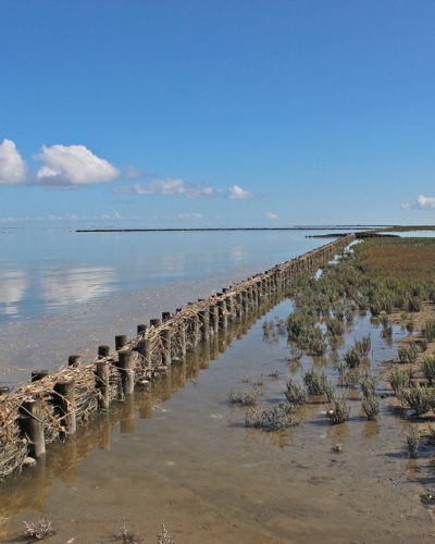 noard fryslan butendyks