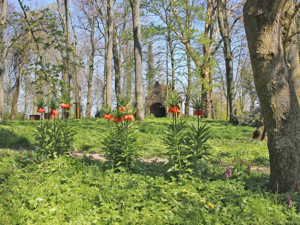Park Jongemastate