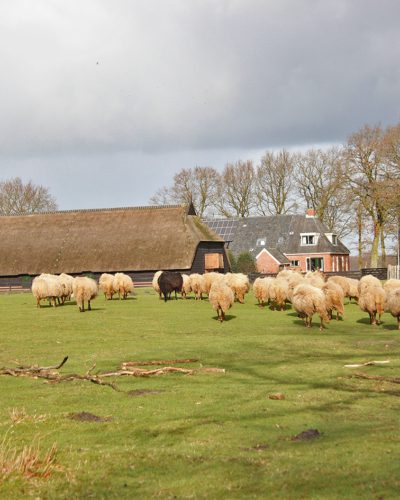 schaapskooi bakkeveen