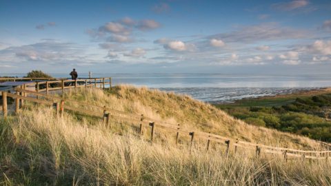 Bericht: Maak de energietransitie echt groen en spaar de natuur