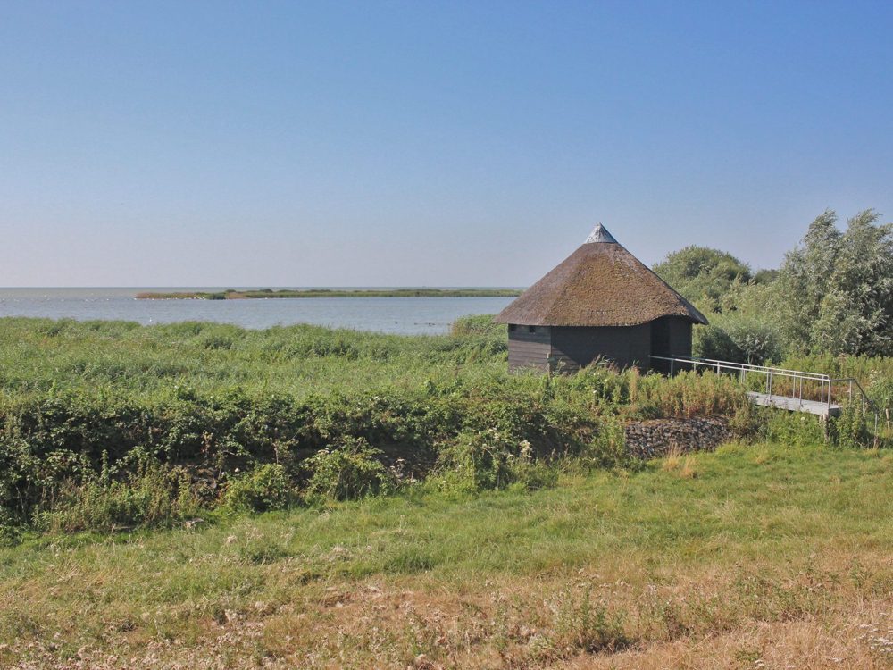 Vogelkijkhut De Mok mokkebank