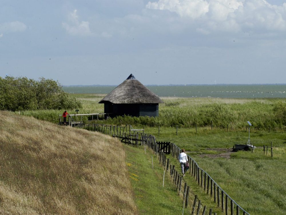 Vogelkijkhut De Mok mokkebank