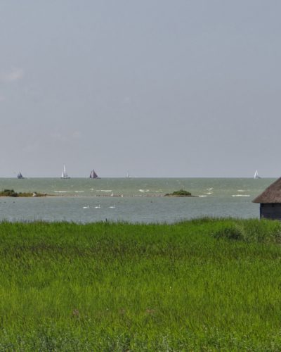 Vogelkijkhut De Swan bocht fan molkwar