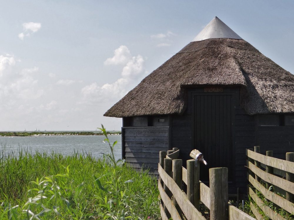 Vogelkijkhut De Swan bocht fan molkwar