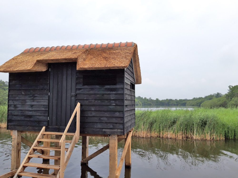Vogelkijkhut Grutte Krite alde feanen