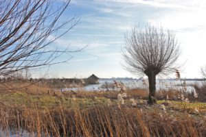 Vogelkijkhut Jan Durkspolder alde feanen