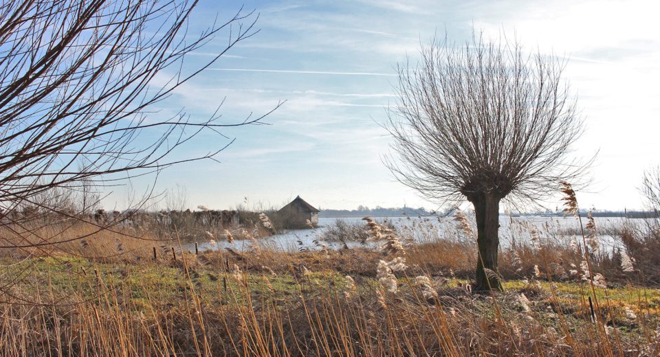 Vogelkijkhut Jan Durkspolder alde feanen
