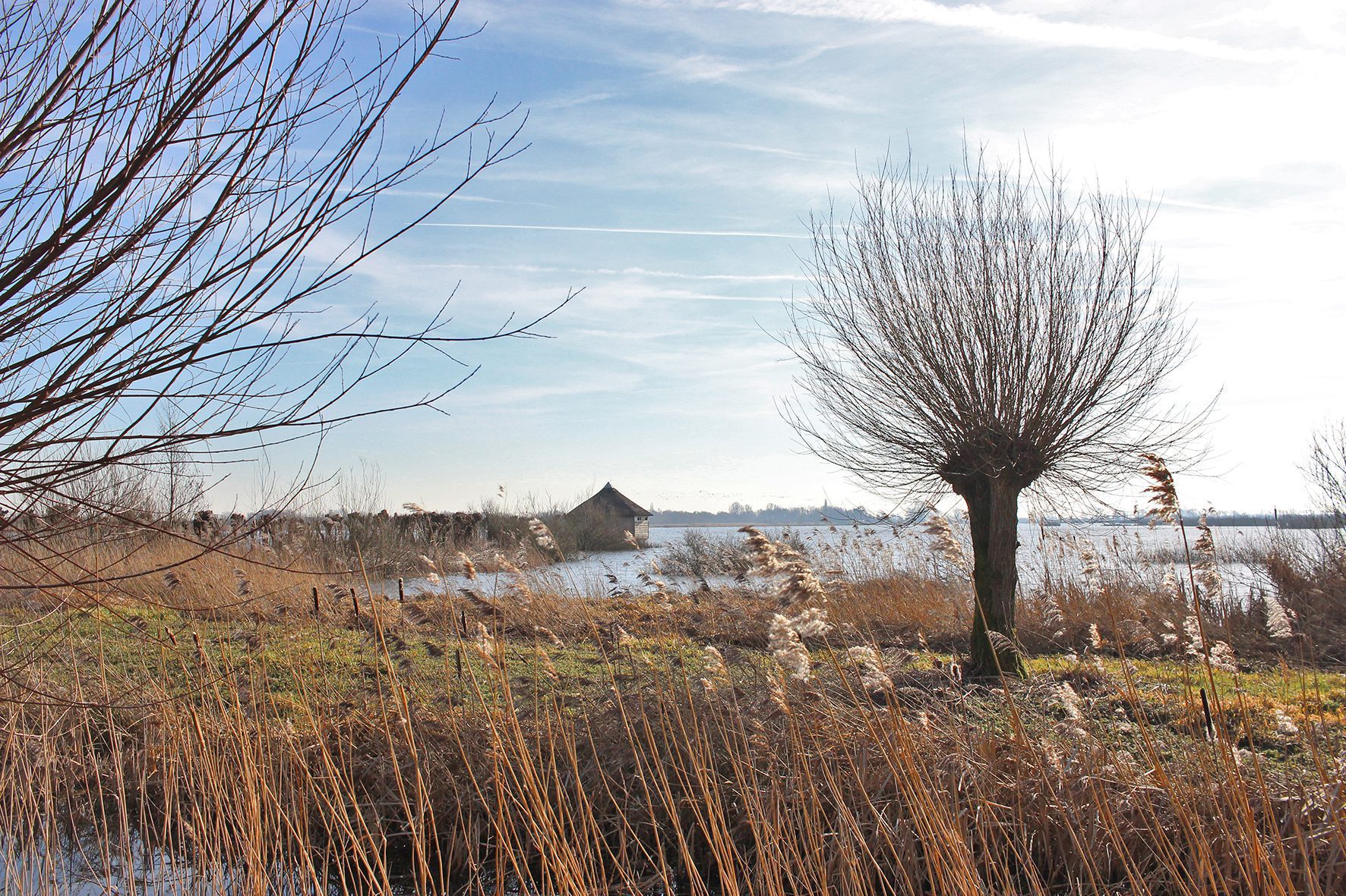 Vogelkijkhut Jan Durkspolder alde feanen