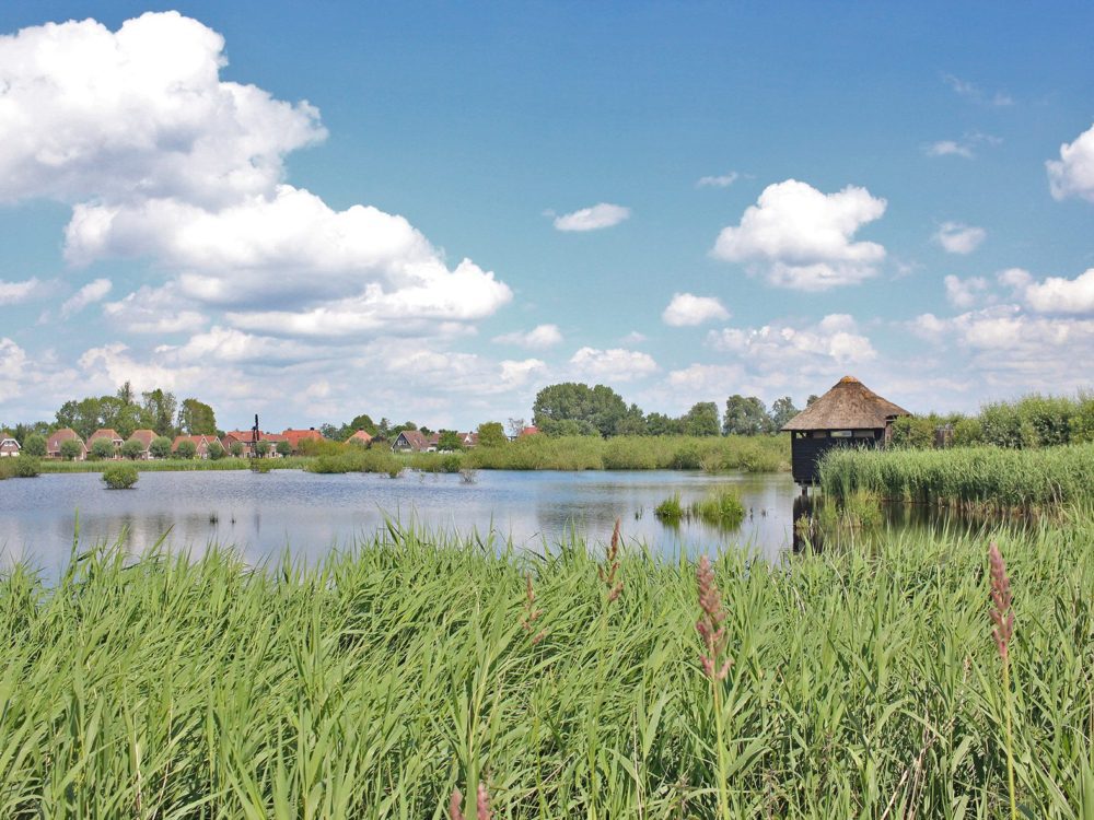 vogelkijkhut de kraanlannen feanhoop