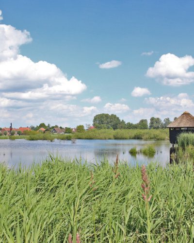 vogelkijkhut de kraanlannen feanhoop