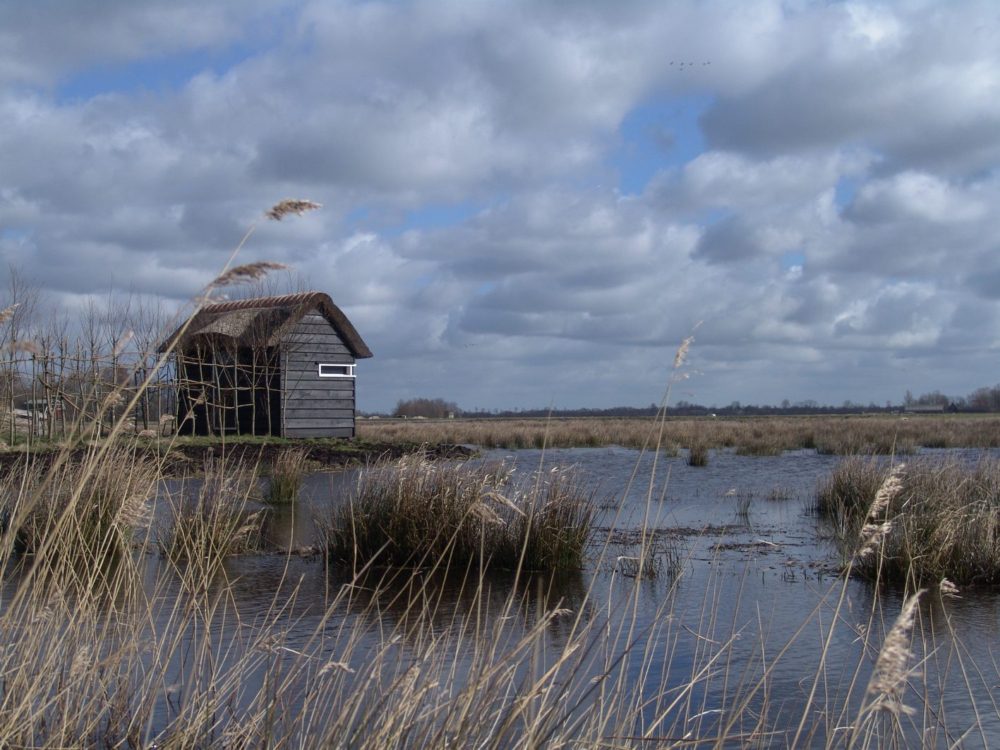 vogelkijkhut Westersanning alde feanen