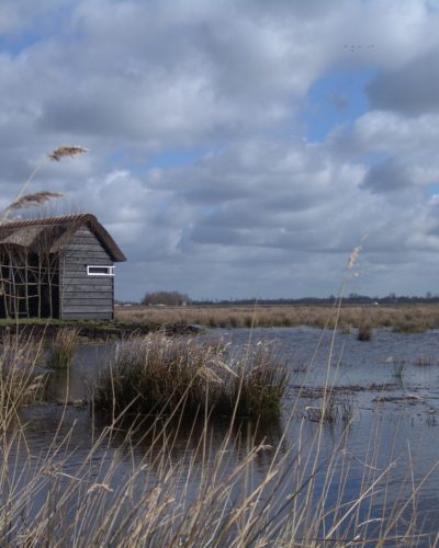 vogelkijkhut Westersanning alde feanen