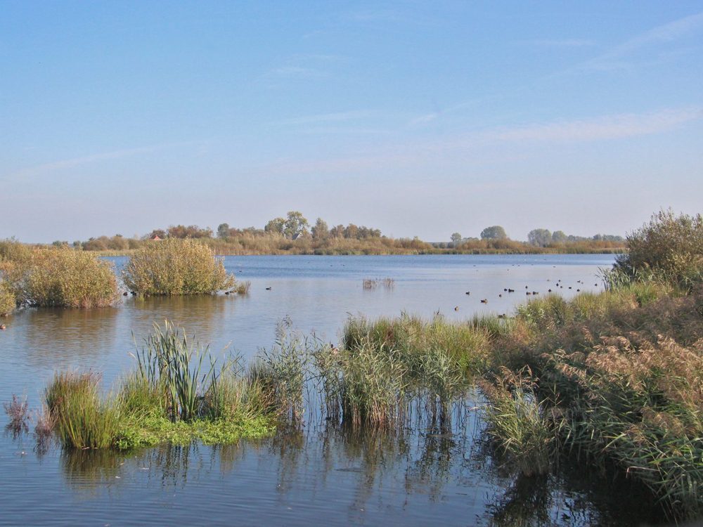 vogelkijkhut de kraanlannen feanhoop