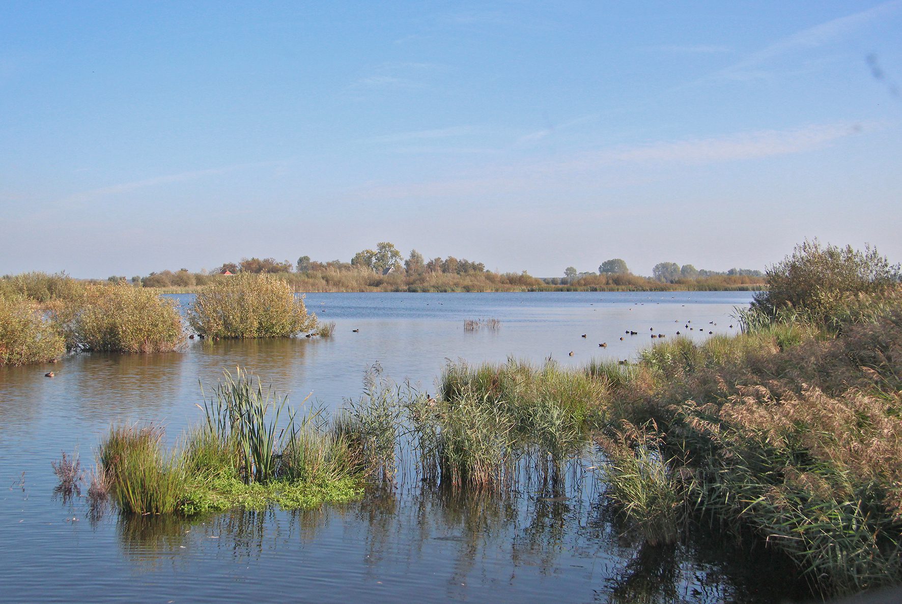 vogelkijkhut de kraanlannen feanhoop