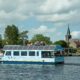 blaustirns excursie