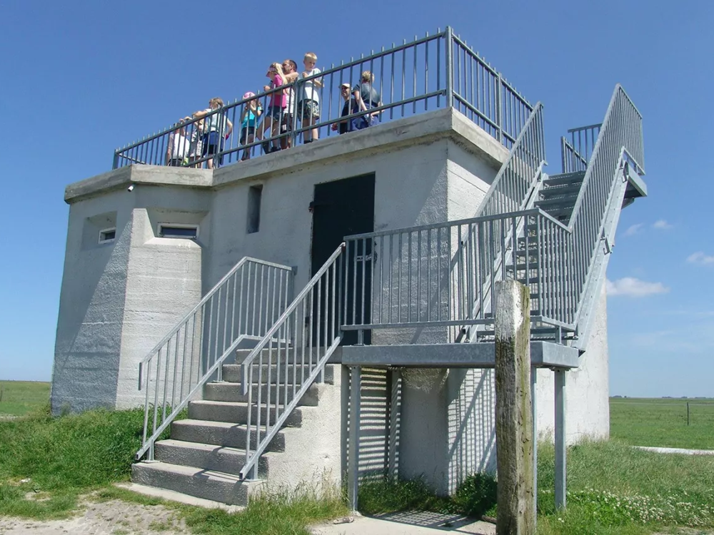 bunker noarderleech