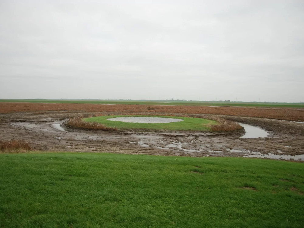 vogelbroedeiland en kijkscherm Noarderleech
