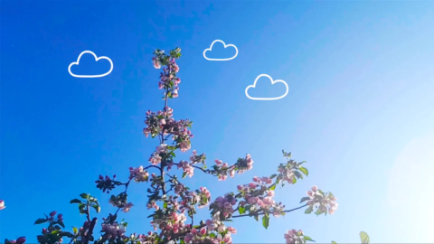 wolken bekijken