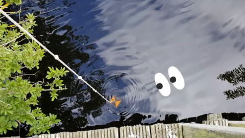 helderheid water testen kids