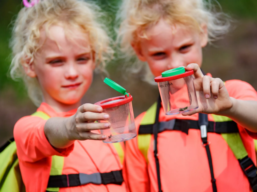 kidsgea bakkefeansterdunen mandefjild