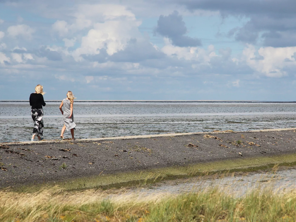 kidsgea vismigratierivier
