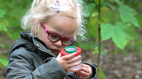 kriebelbeestje kids