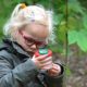 kriebelbeestje kids