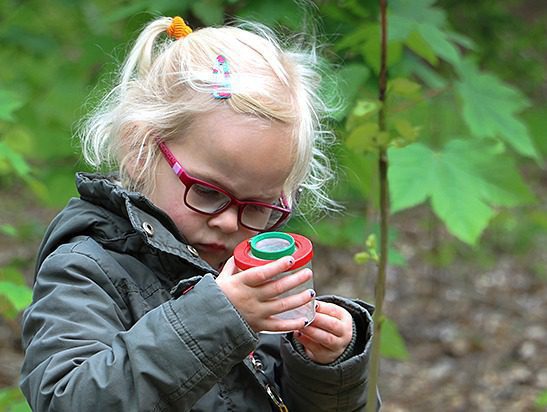 kriebelbeestje kids