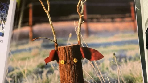 ree knutselen hout kids