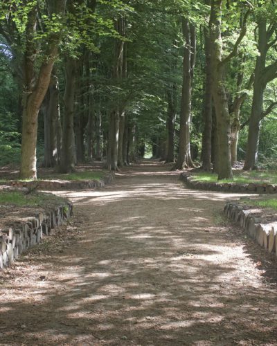rondeel rysterbosk