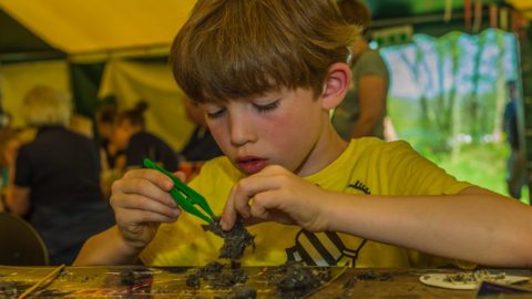 uilen ballen pluizen kids